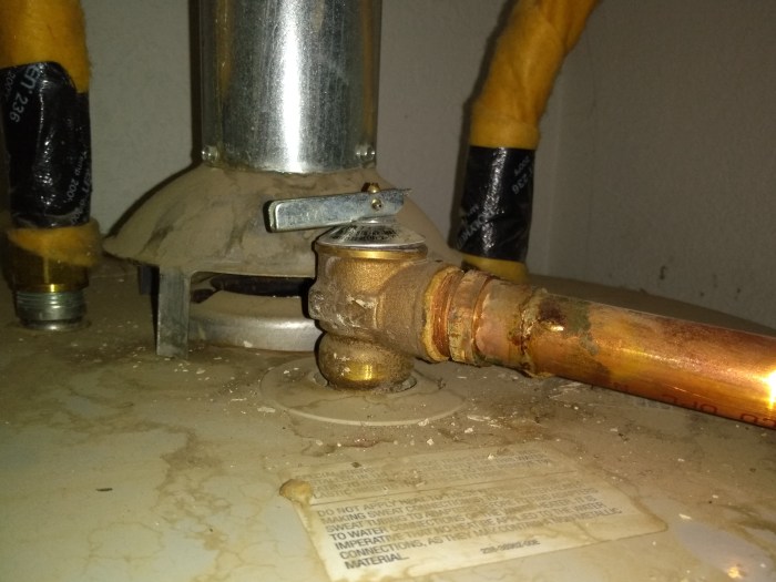 IMG_20191207_081428772